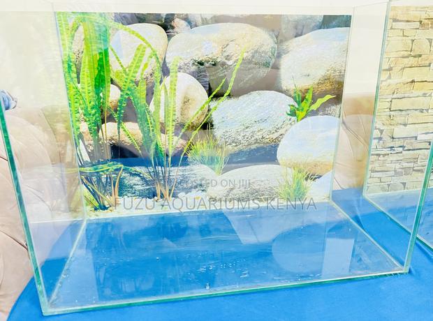 2ft Aquarium That Transforms Any Room - main view