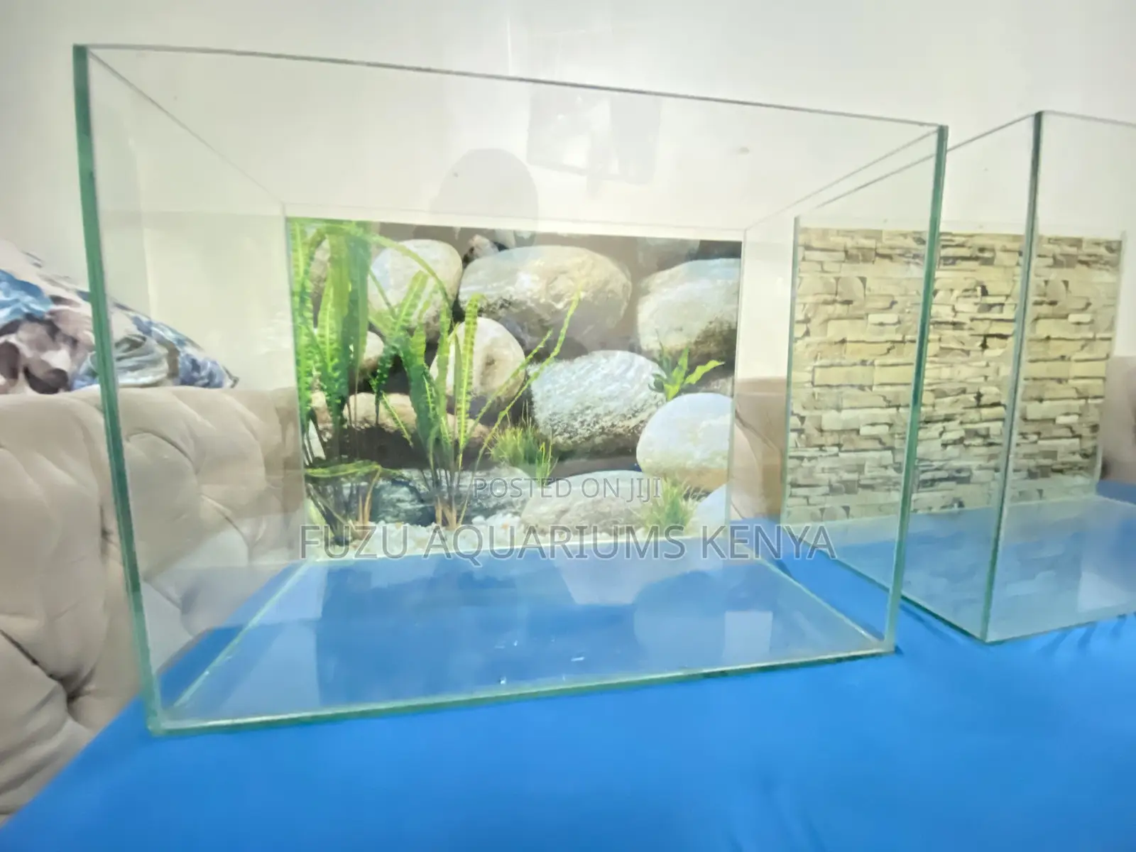 Stress-Free Aquarium Setup – We Deliver in Nairobi