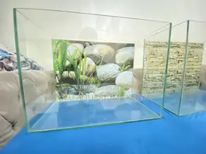 Stress-Free Aquarium Setup – We Deliver in Nairobi