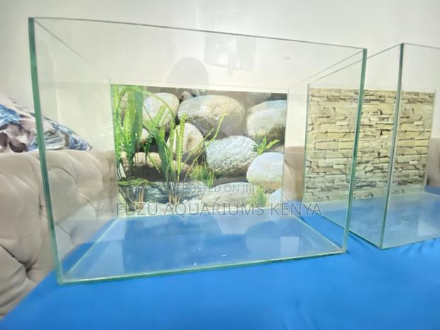Stress-Free Aquarium Setup – We Deliver in Nairobi