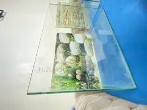 Brighten Your Room With a 60l Aquarium