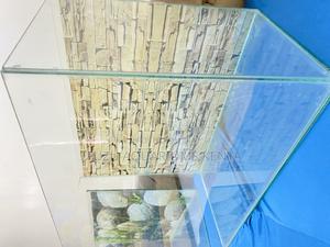 Easy Aquarium Package – Fish, Pump, and More - thumbnail 2