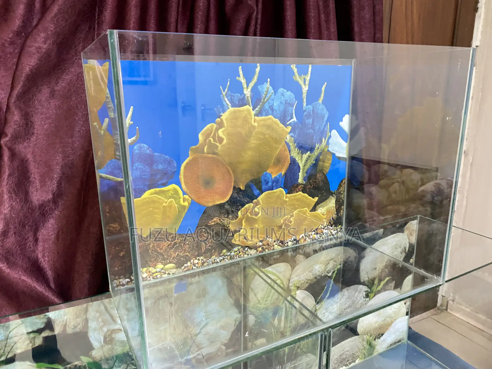 60l Aquarium for Kids Adults Alike