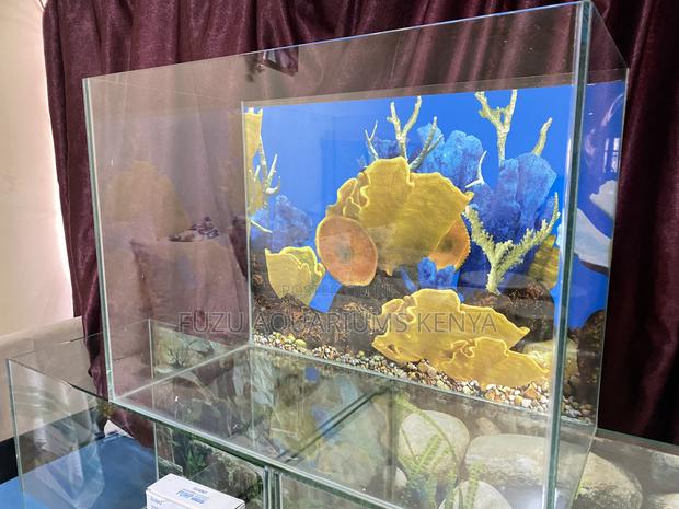 Trendy Glass Aquarium – Home or Office Ready - main view