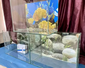 Affordable 2ft Aquarium With Free Nairobi Delivery