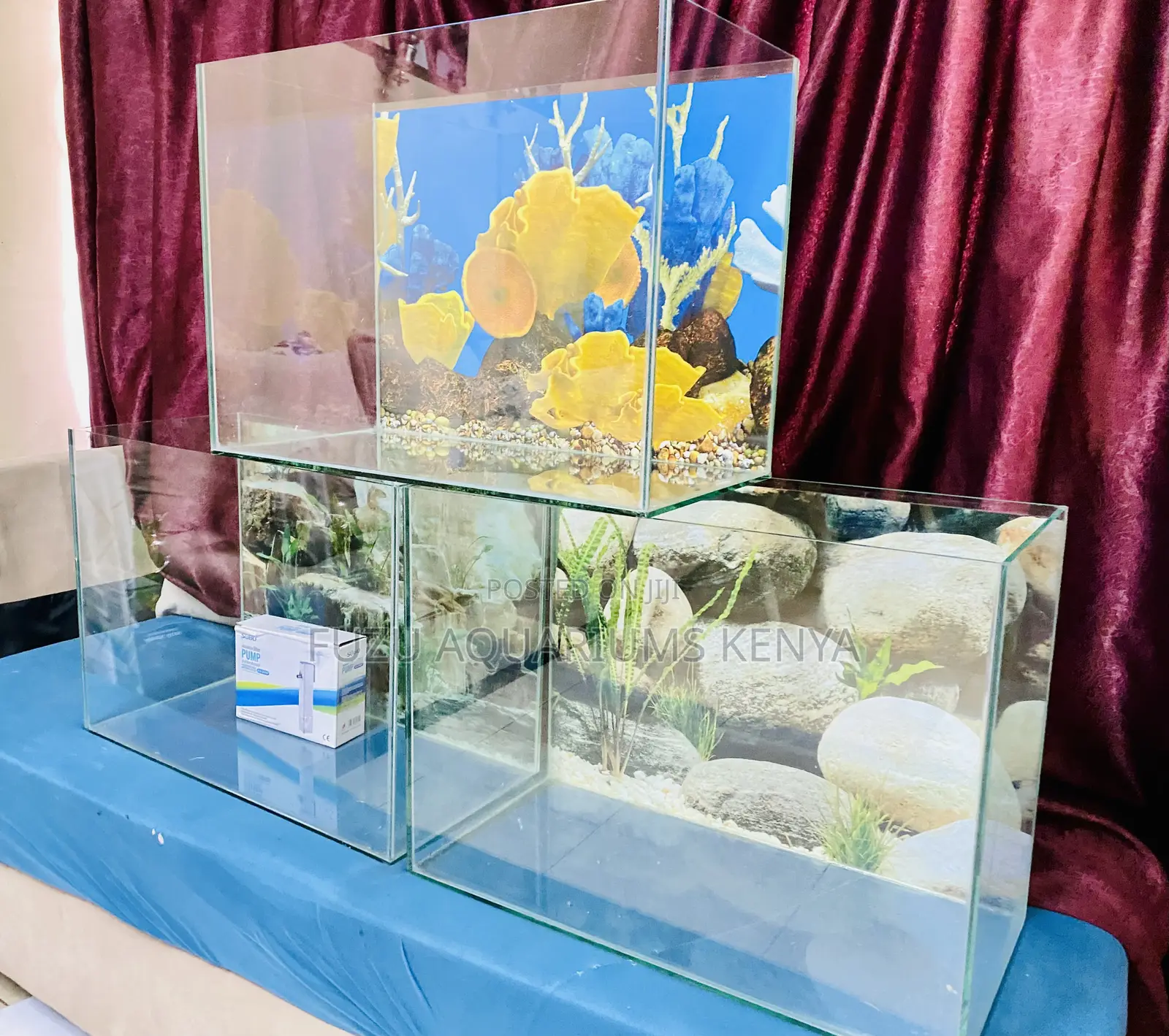 60 Litre Aquarium – Minimal Setup, Maximum Joy