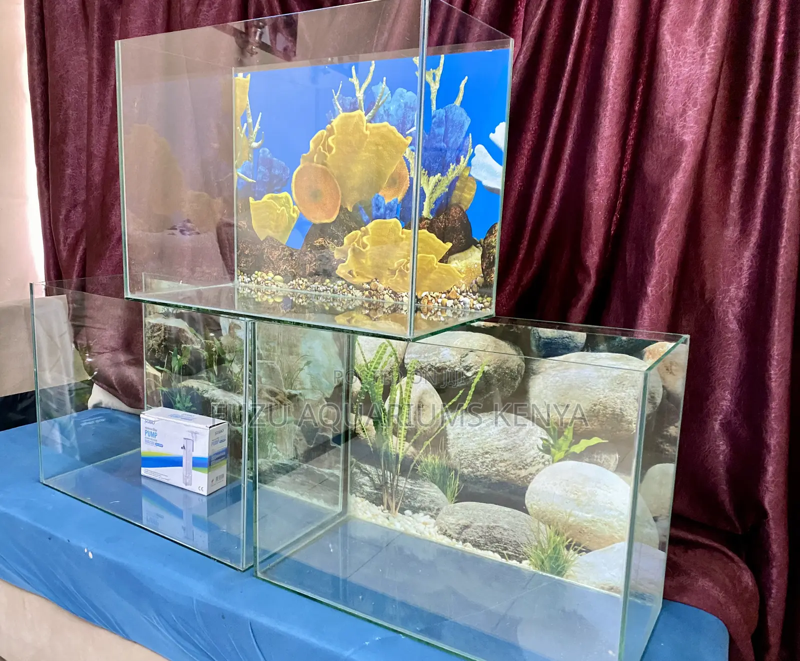 Bring Home Peace With a 2ft Aquarium