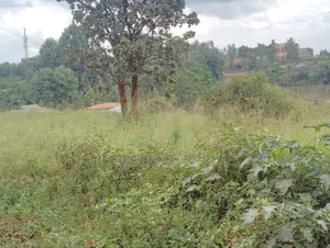 Ruiru Toll Twiga