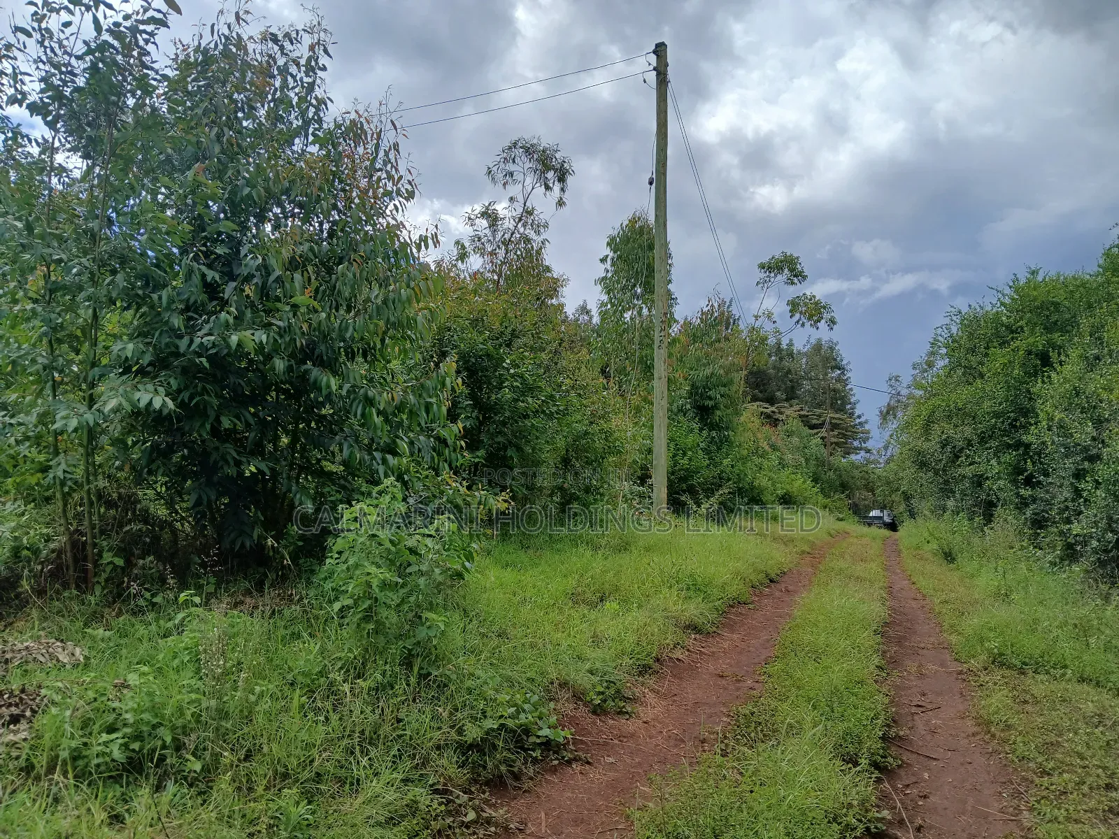 Distress! Prime Redsoil 50 by 100 Plot in Upper Matasia