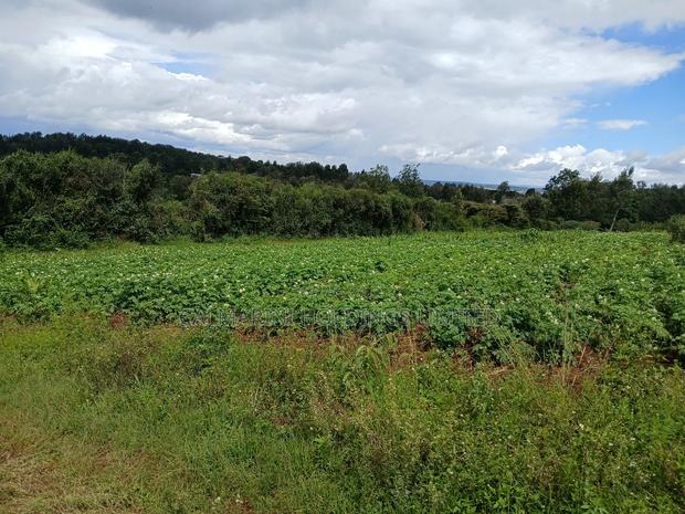 Distress! Prime Redsoil 50 by 100 Plot in Upper Matasia - thumbnail 2