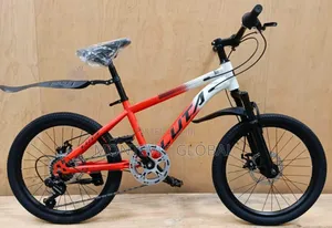 Luta Mountain Bike Size 20