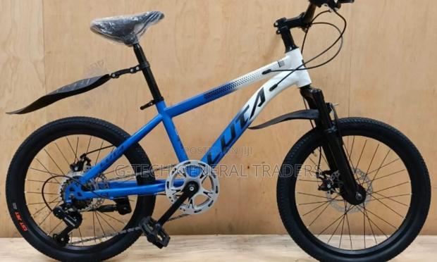 Size 20 Heavy Duty Bike With Gears