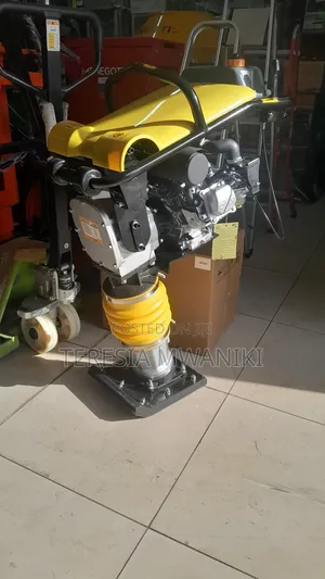 Kangaroo/Tamping Rammer/Rammer Compactor