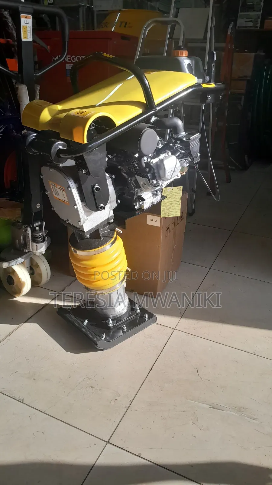 Kangaroo/Tamping Rammer/Rammer Compactor