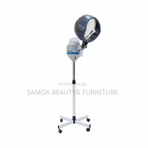 Hair Steamer