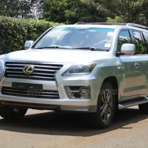 Lexus LX 570 2010 Gray