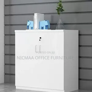 Silver White 2-Door Wooden Storage