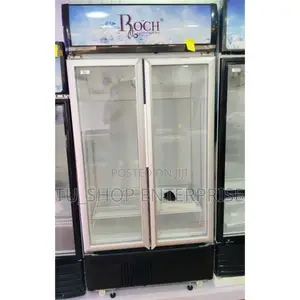 Refrigerator! Roch 409 Litres Side by Side Showcase Chiller