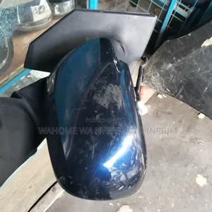 Side Mirror Axio Old Model