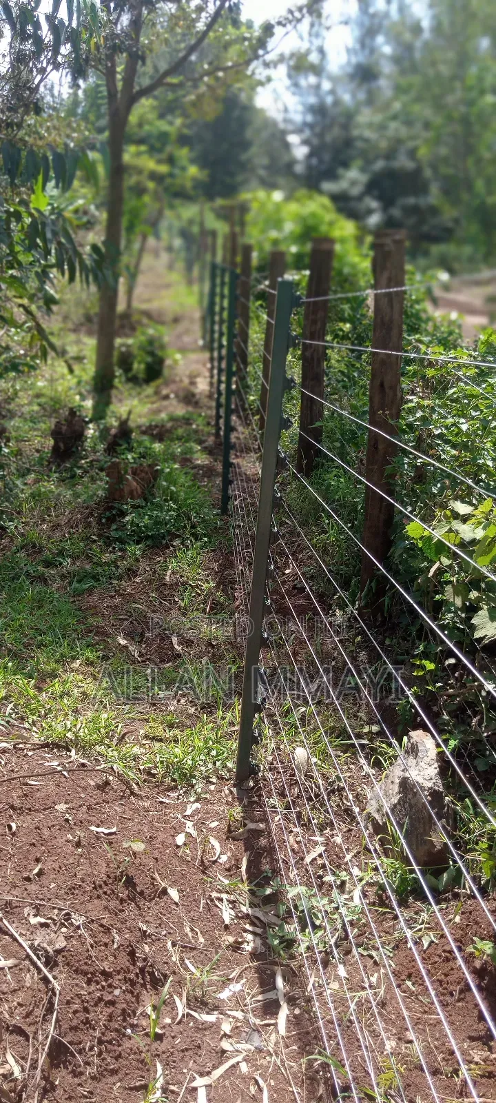 Electric Fence/Solar Lights
