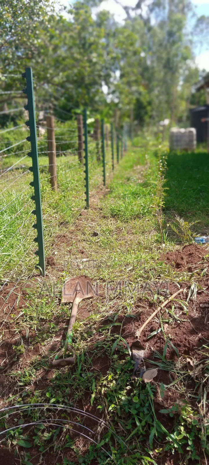 Electric Fence/Solar Lights