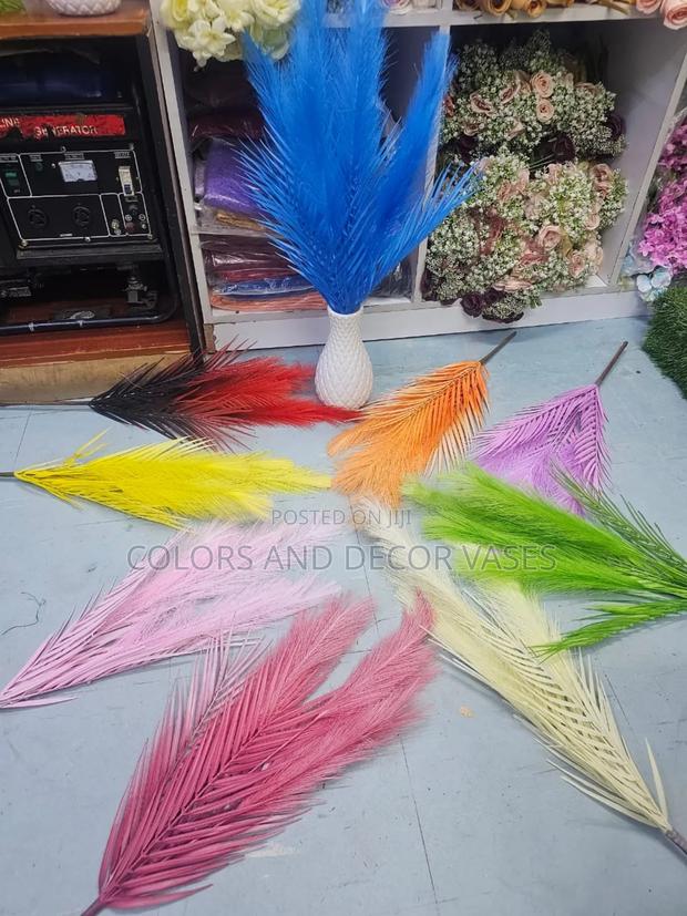 Imported Pampas Available - main view