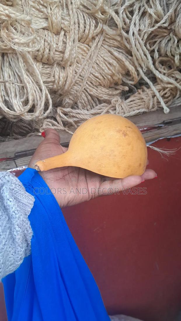 Small Calabashes Available