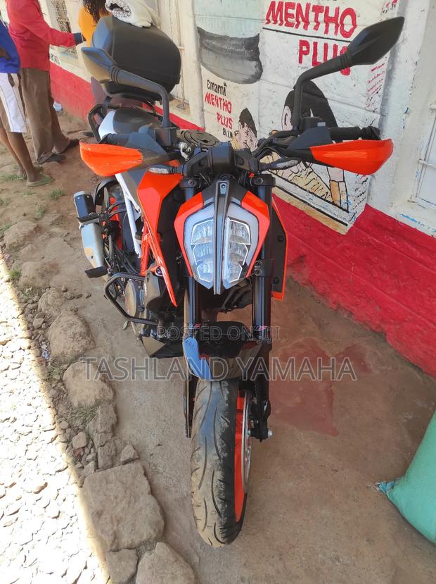 KTM 2019 Orange - main view