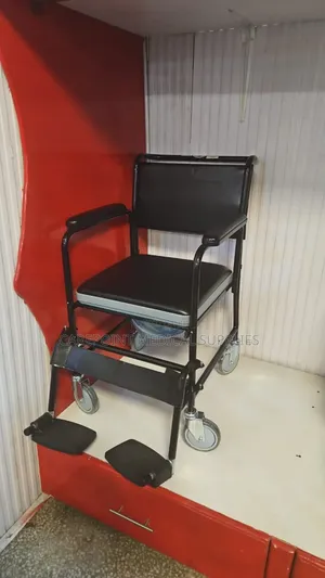 Commode Seat With Wheels