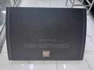 Monitor/Feedback Speaker 15"