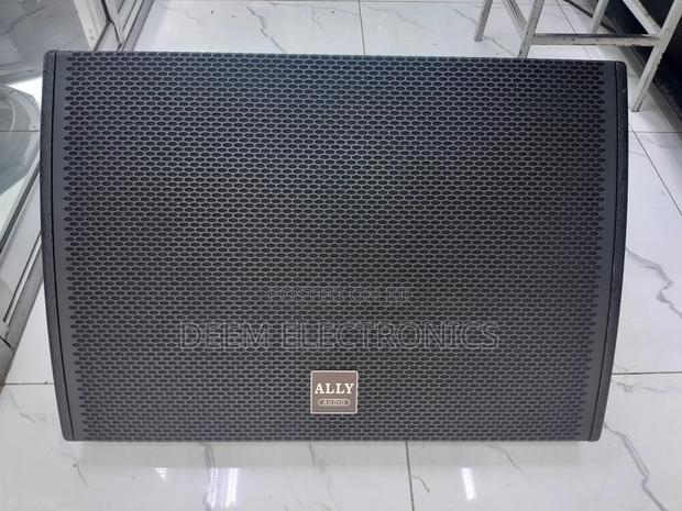 Monitor/Feedback Speaker 15" - main view