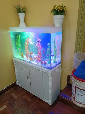 Turn Your Space Into Serene Oasis With This Elegant Aquarium