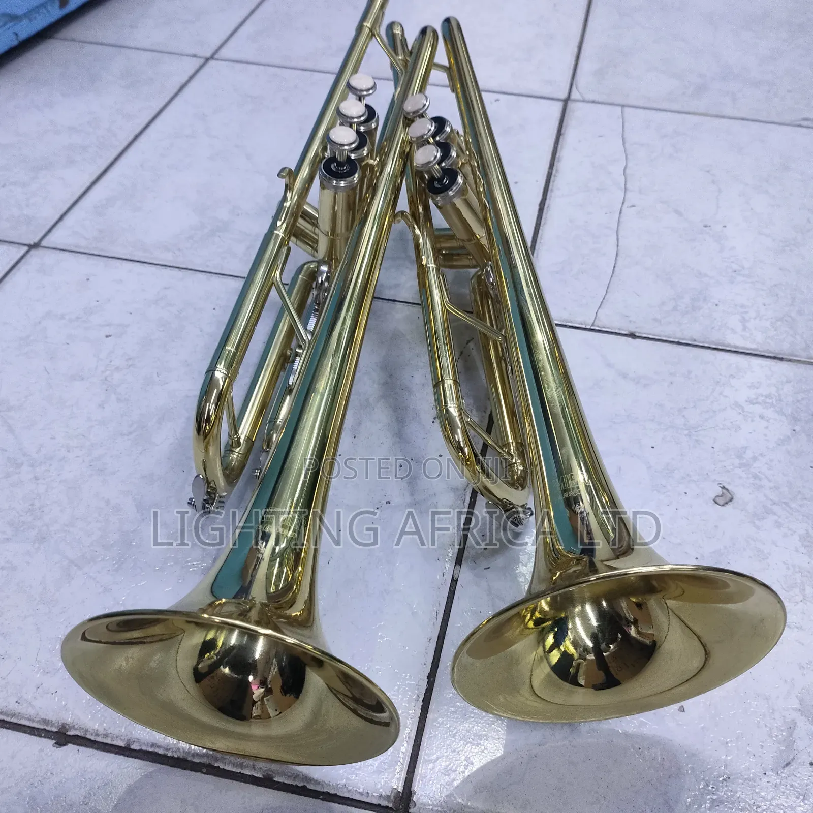 Trumpet Gold Color