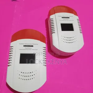 Portable Carbon Monoxide Detector