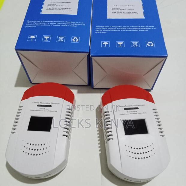 Voice Indicator Carbon Monoxide Detector - main view