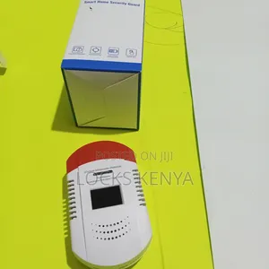 3 Level Carbon Monoxide Detector