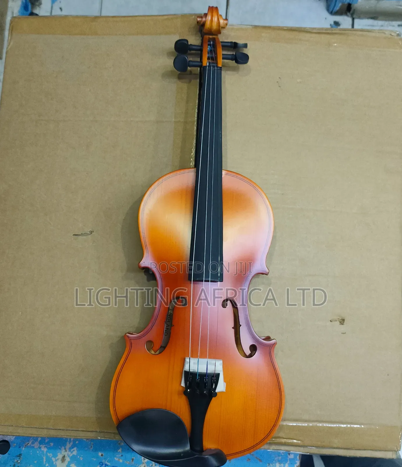 Sleek Violin