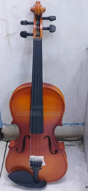 Brown Proffesional Violin 