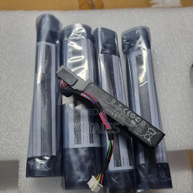 Hp Smart Array Cache Battery.