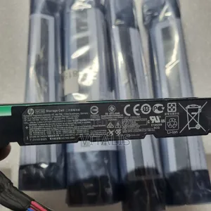 Hp Smart Array Cache Battery.