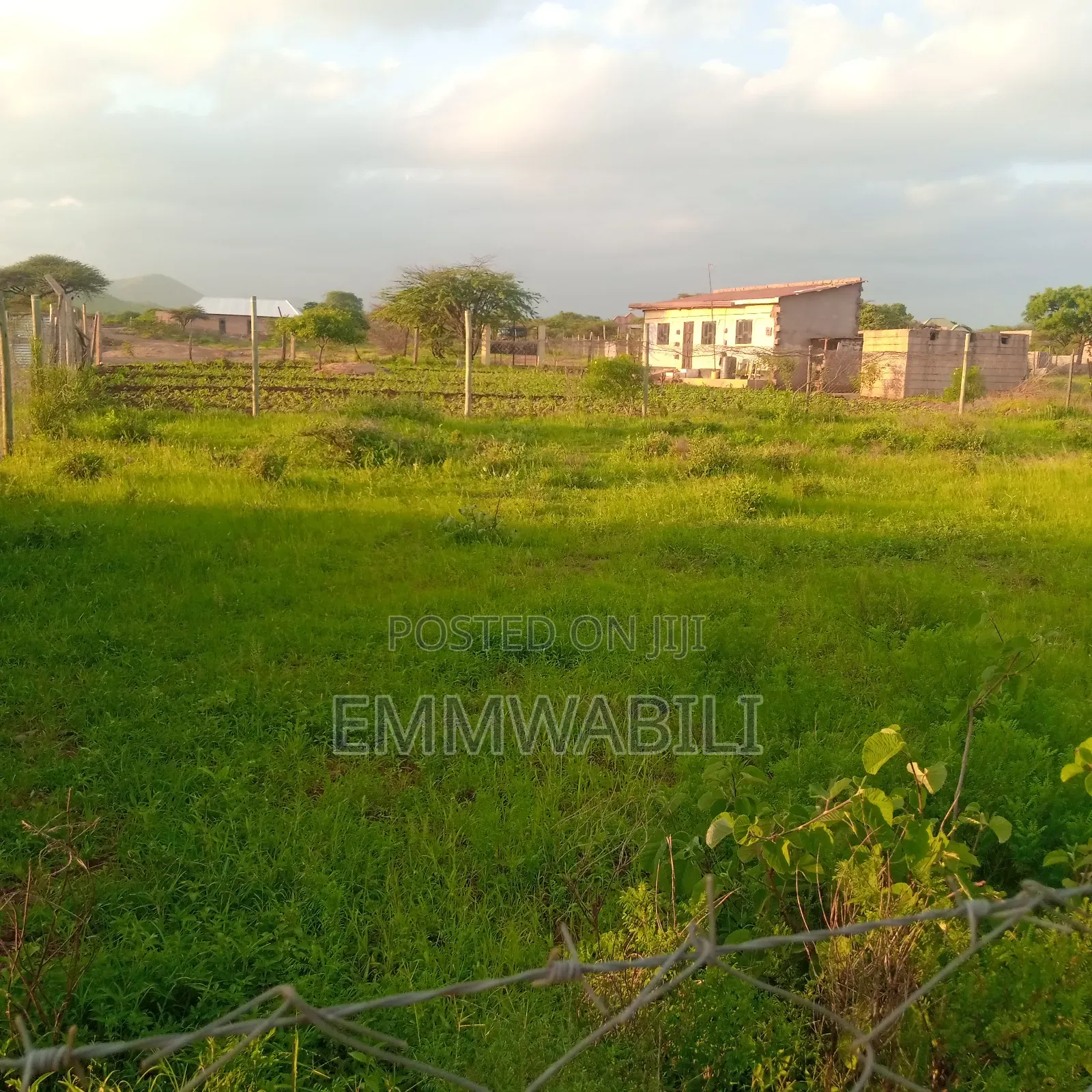 100ft by 100ft for Sale in Lessesia Taveta
