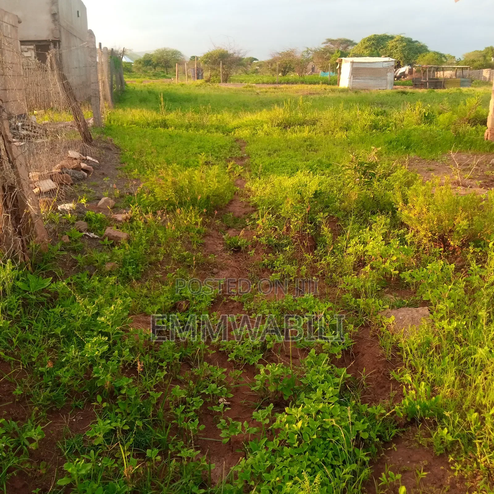 100ft by 100ft for Sale in Lessesia Taveta