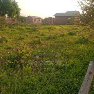 100ft by 100ft for Sale in Lessesia Taveta