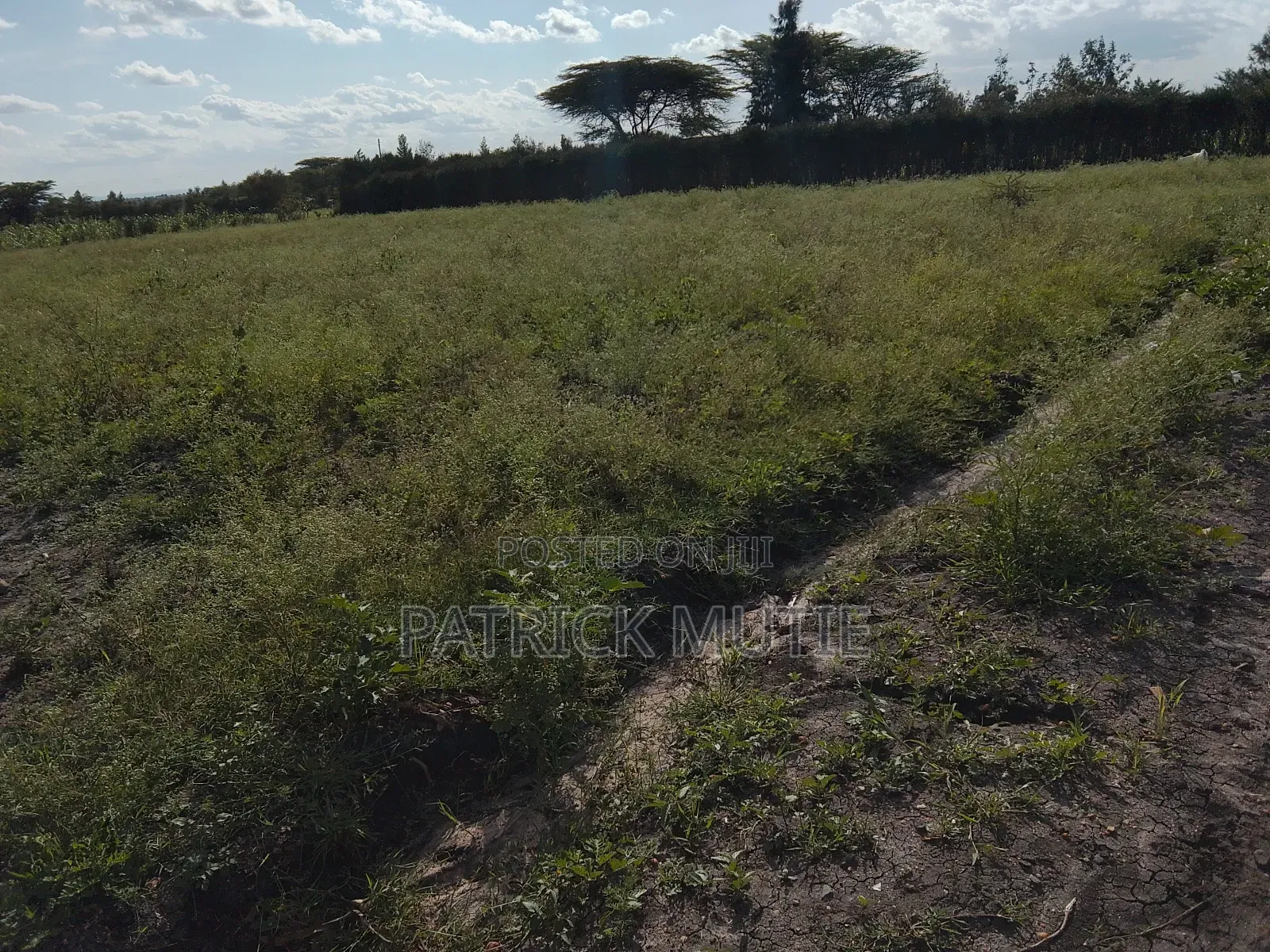 2.04acres Kiasa Kyumbi for Sale