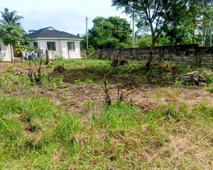 Plot for Sale 40*80 at Utange.