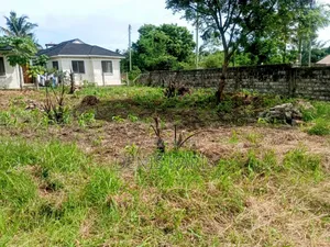Prime Plot for Sale 40*80 at Utange.