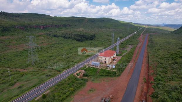 50 by 100 Plots - main view