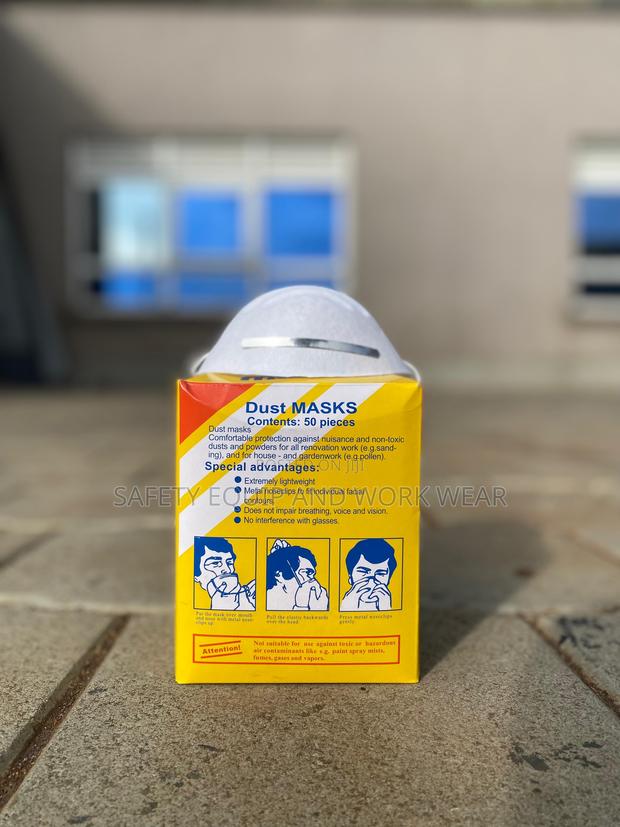 Dust Masks That Meet Basic Safety Needs. - main view