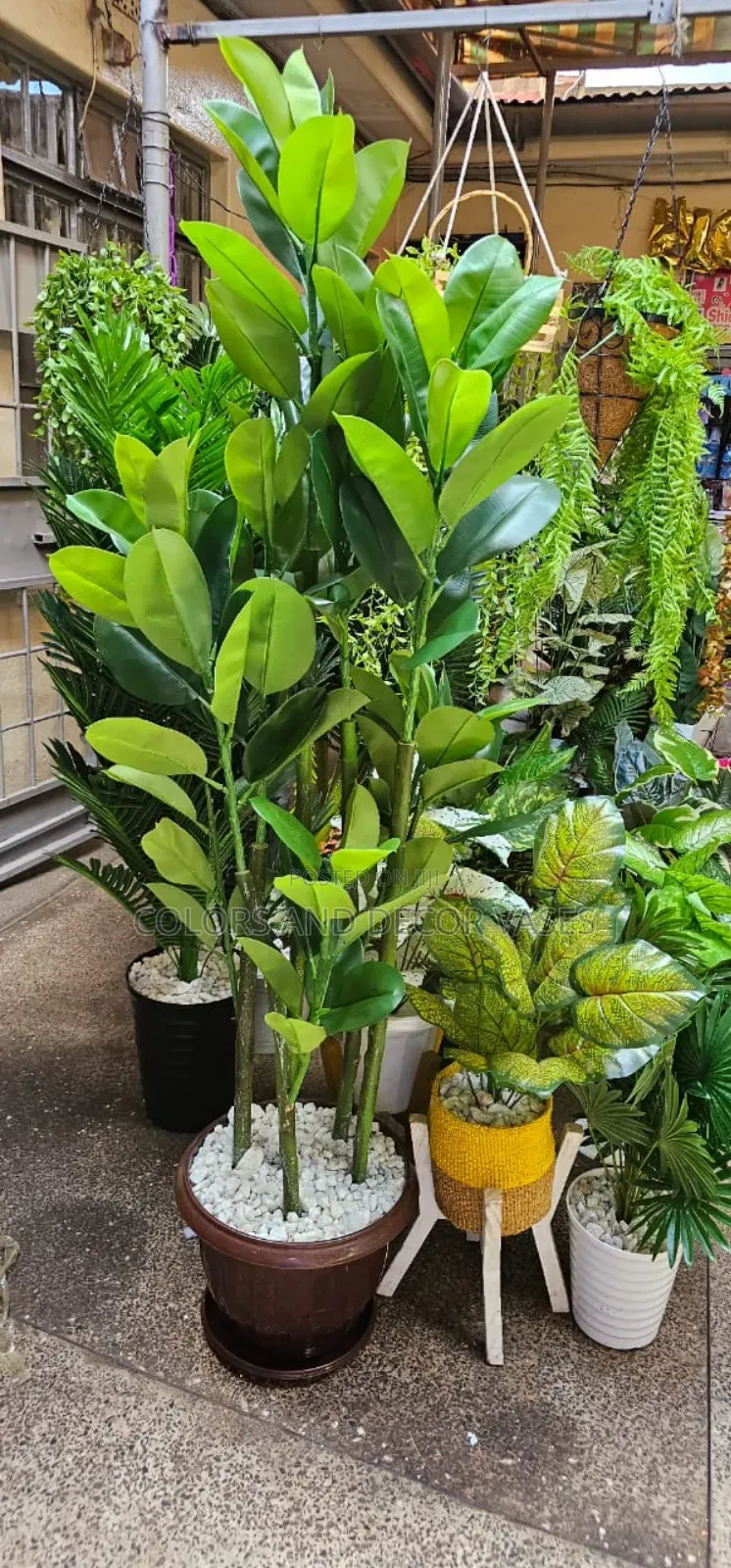 1.6 Meters Plant With Vase and Decorative Stones