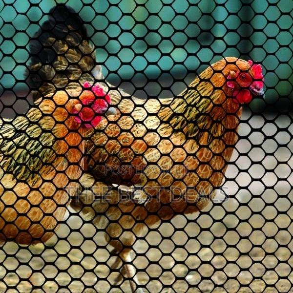 Quality Poultry Mesh - main view
